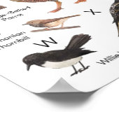 Vögel aus Australien Poster (Ecke)