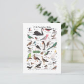 Vögel aus Australien Postkarte (Stehend Vorderseite)