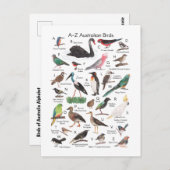 Vögel aus Australien Postkarte (Vorne/Hinten)