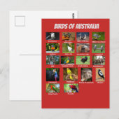 Vögel aus Australien Postkarte (Vorne/Hinten)