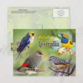 Vögel aus Australien Postkarte (Vorne/Hinten)