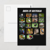 Vögel aus Australien Postkarte (Vorne/Hinten)