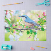 Vogel aus Frühlingspapier Seidenpapier (Basteln)
