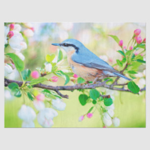 Vogel aus Frühlingspapier Seidenpapier