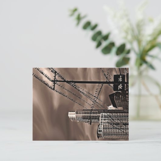 Vögel, Austin, TX Postkarte (Stehend Vorderseite)