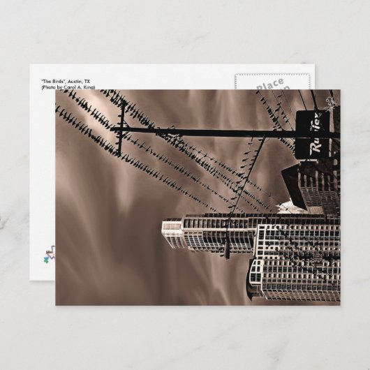 Vögel, Austin, TX Postkarte (Vorne/Hinten)