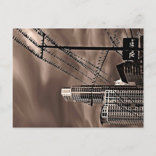 Vögel, Austin, TX Postkarte (Vorderseite)