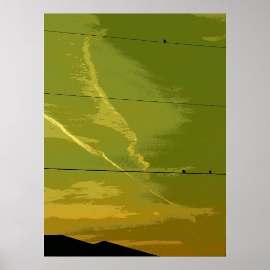 Vögel bei Sonnenuntergang Poster (Vorne)