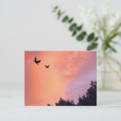 Vögel bei Sonnenuntergang Postkarte (Stehend Vorderseite)