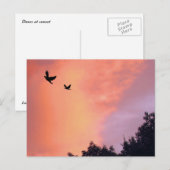 Vögel bei Sonnenuntergang Postkarte (Vorne/Hinten)