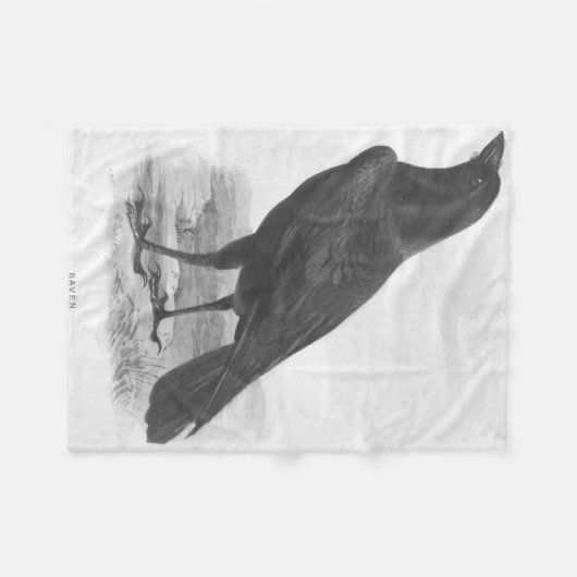 Vögel. Blackbird Raven Fleecedecke (Vorderseite (Horizontal))