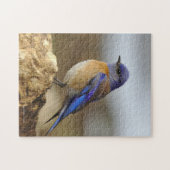 Vogel, Bluebird, Puzzle (Horizontal)