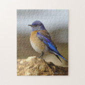 Vogel, Bluebird, Puzzle (Vertikal)