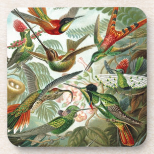 Vögel Blumen Blume Vogel Natur Vintage-Malerei Getränkeuntersetzer