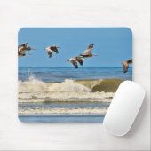 Vögel, Braunpelikane, wild lebende Tiere Mousepad (Mit Mouse)