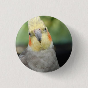 Vogel Button