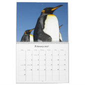 Vogel Calaender 2013-2014 Kalender (Feb 2027)