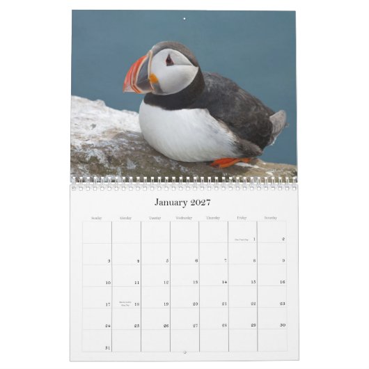 Vogel Calaender 2013-2014 Kalender (Jan 2027)