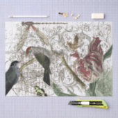 Vogel-Collage Seidenpapier (Handwerk)