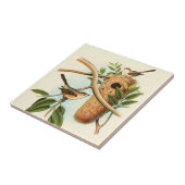 Vogel Couple auf einem Nest auf einem Zweig Fliese (Seite)