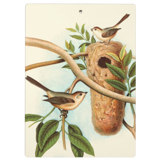 Vogel Couple auf einem Nest auf einem Zweig Klemmbrett (Rückseite)