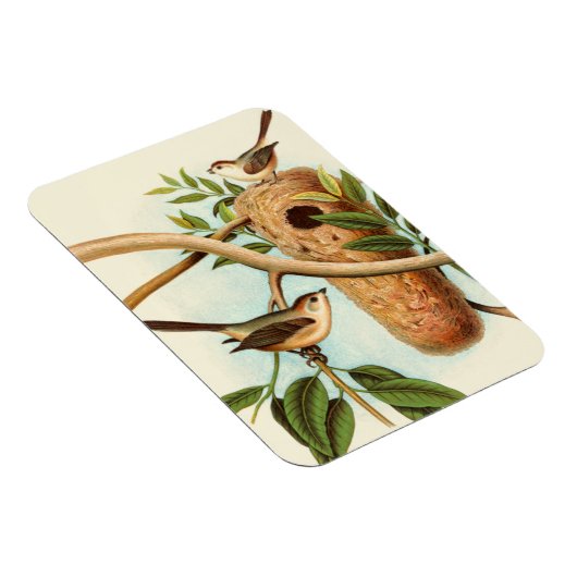 Vogel Couple auf einem Nest auf einem Zweig Magnet (Rechte Seite)