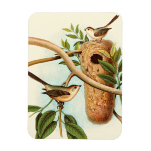 Vogel Couple auf einem Nest auf einem Zweig Magnet