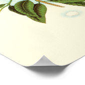 Vogel Couple auf einem Nest auf einem Zweig Poster (Ecke)