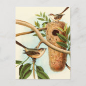 Vogel Couple auf einem Nest auf einem Zweig Postkarte (Vorderseite)