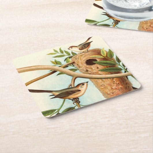 Vogel Couple auf einem Nest auf einem Zweig Rechteckiger Pappuntersetzer (angewinkelt)