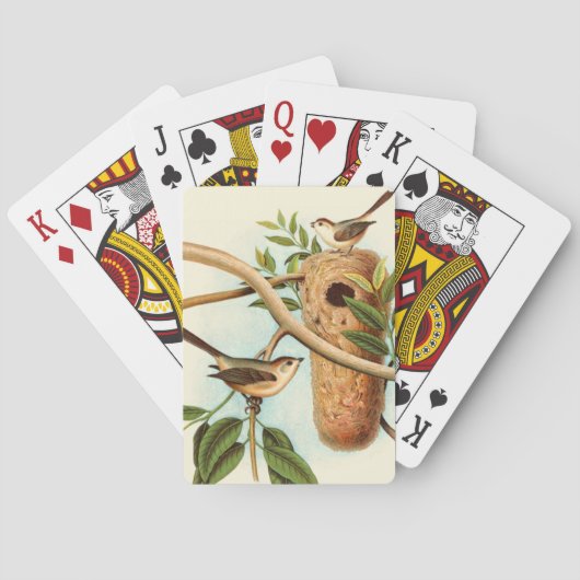 Vogel Couple auf einem Nest auf einem Zweig Spielkarten (Rückseite)