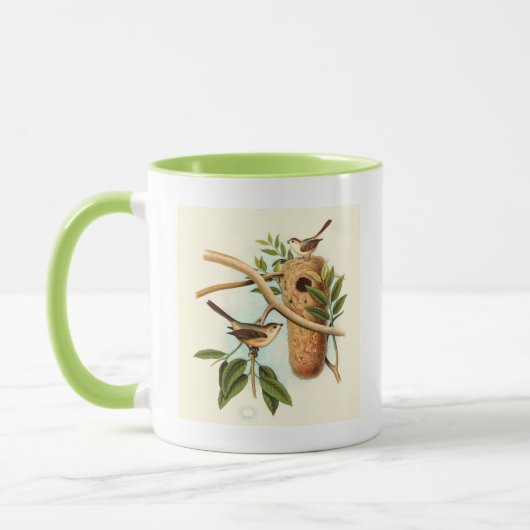 Vogel Couple auf einem Nest auf einem Zweig Tasse (Links)