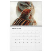 Vögel dem Kalender in des Winter-2015 (Feb 2026)
