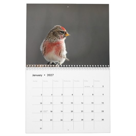 Vögel dem Kalender in des Winter-2015 (Jan 2027)