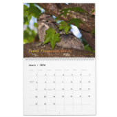 Vögel der australischen Bush Kalender (Mär 2026)