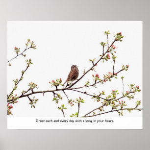 Vogel, der ein glückliches Lied singt Poster