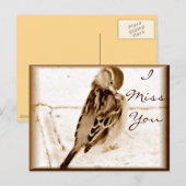 Vogel der Liebe_ Postkarte (Vorne/Hinten)