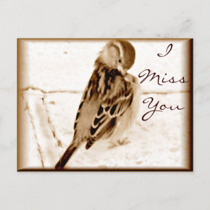 Vogel der Liebe_ Postkarte