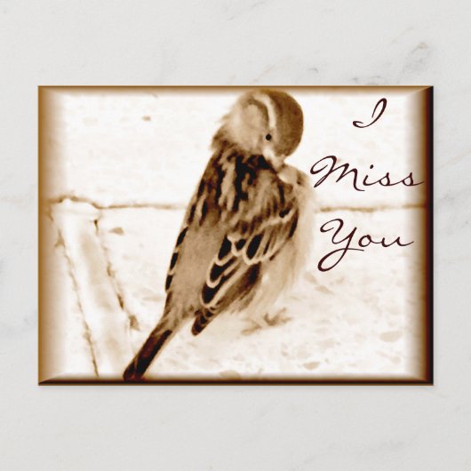 Vogel der Liebe_ Postkarte (Vorderseite)