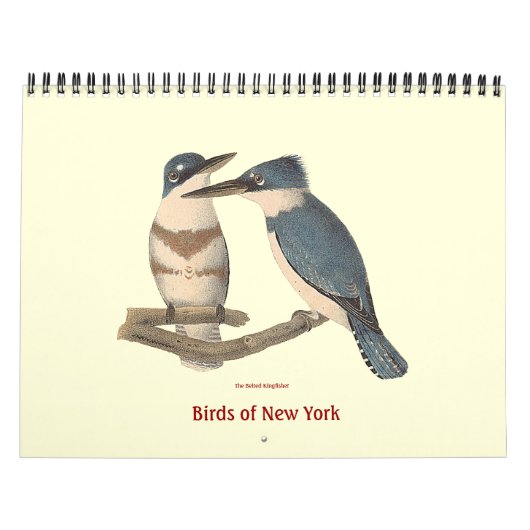 Vögel der Lithographie von New York Kalender (Titelbild)