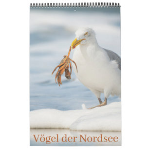 Vögel der Nordsee Kalender