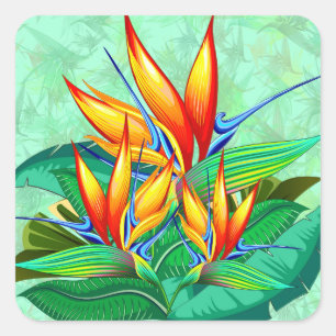 Vogel der Paradise Blume Exotische Natur Quadratischer Aufkleber
