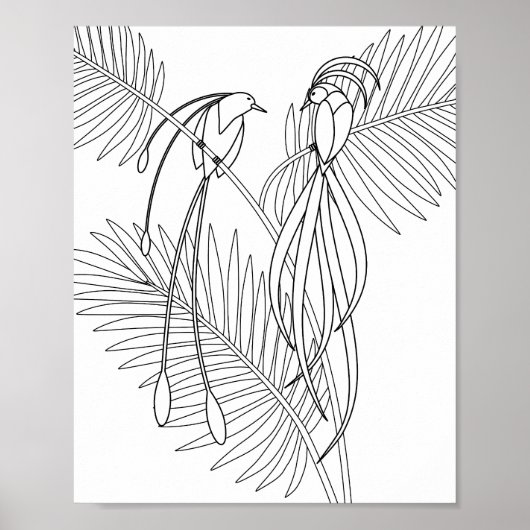 Vögel der Paradise-Farbseite Poster (Vorne)