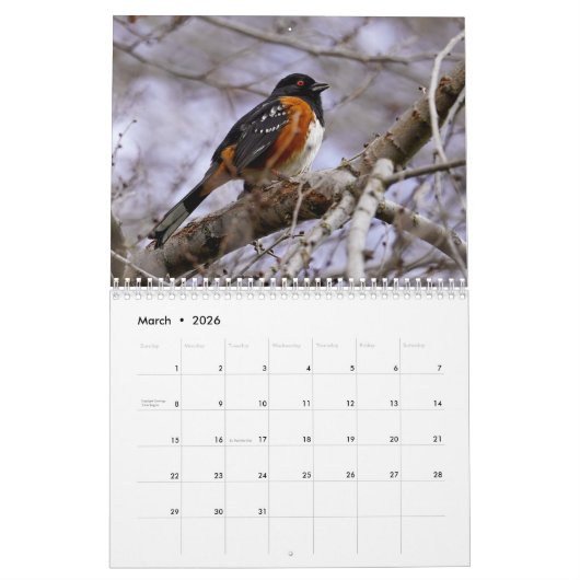 Vögel der PNW Kalender (Mär 2026)