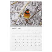 Vögel der PNW Kalender (Jan 2027)