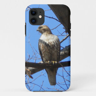 Vogel der Prey iPhone 5 Fall Case-Mate iPhone Hülle