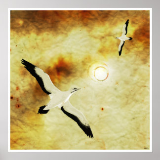 Vögel der Sonne Poster