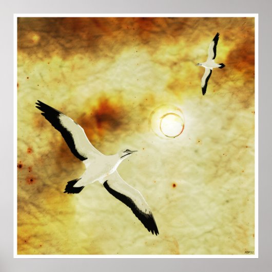 Vögel der Sonne Poster (Vorne)