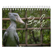 Vögel der Welt Kalender (Titelbild)