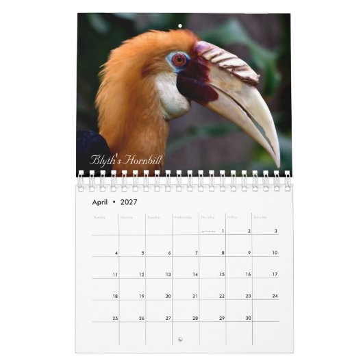 Vögel der Welt Kalender (Apr 2027)